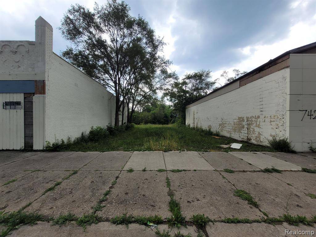 Detroit, MI 48238,7419 PURITAN Street