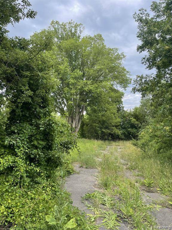 Milford, MI 48381,1646 N MILFORD Road