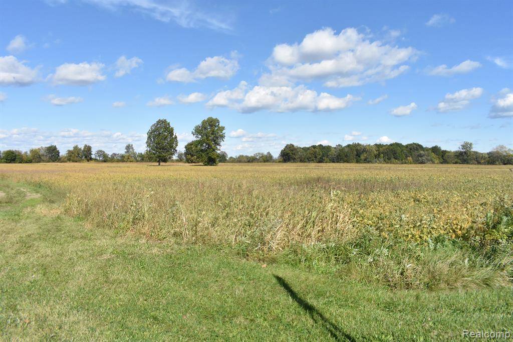 Monroe, MI 48162,0000 N STONY CREEK Road