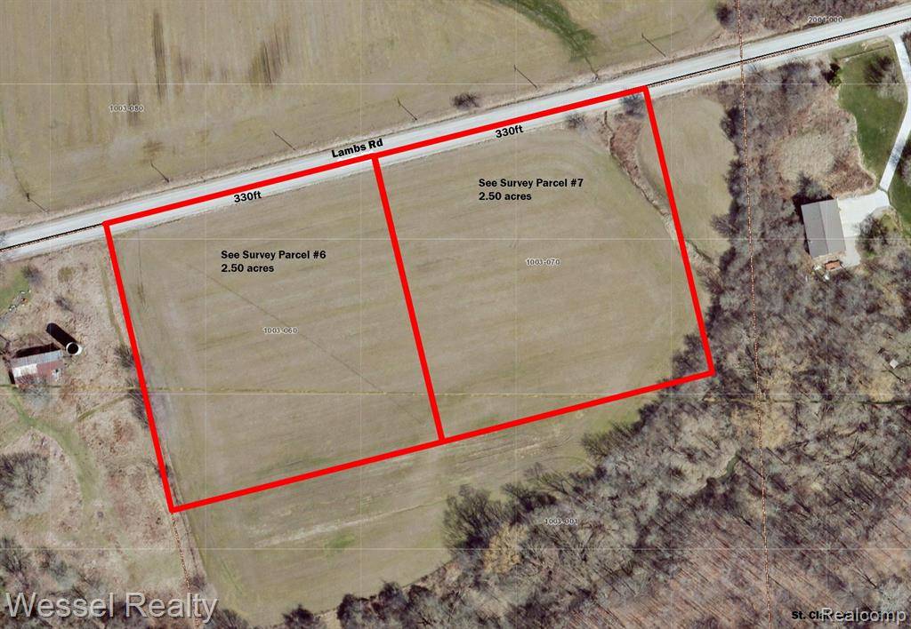 Goodells, MI,Parcel 6 Lambs Road