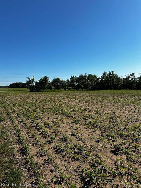 Durand, MI 48429,12147 W GRAND BLANC Road