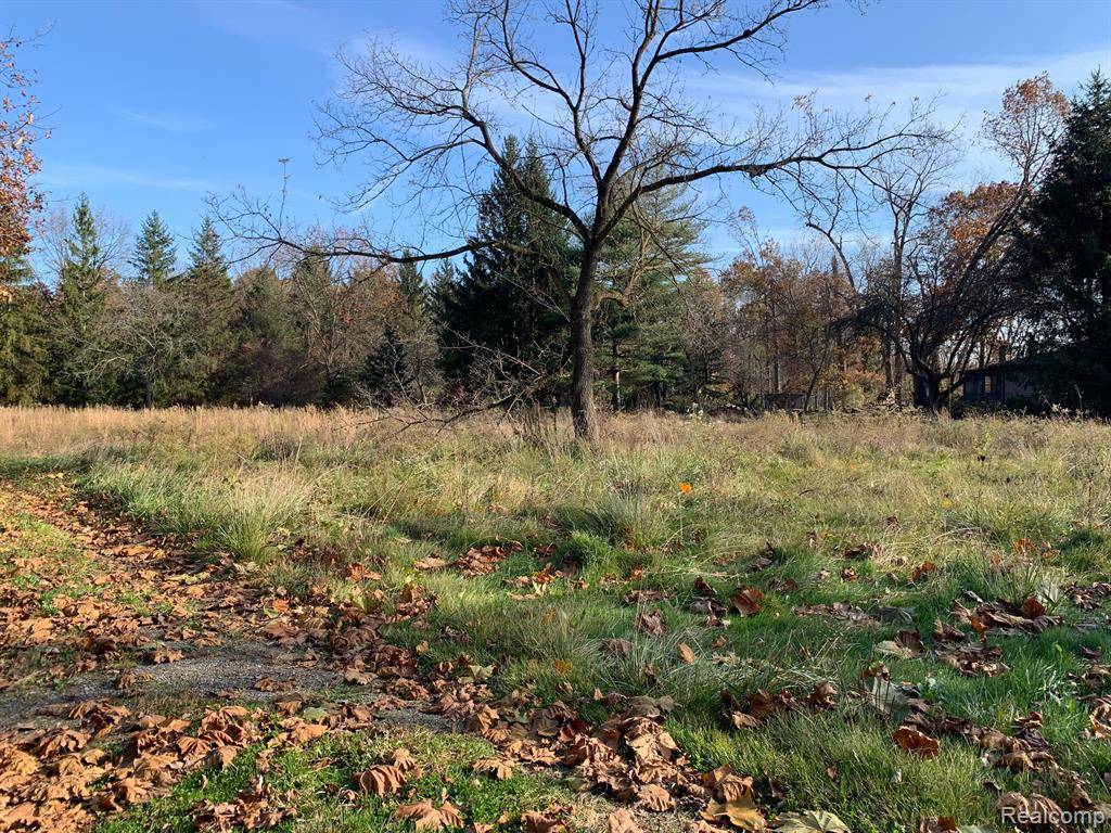 New Boston, MI 48164,Vacant MERRIMAN Road