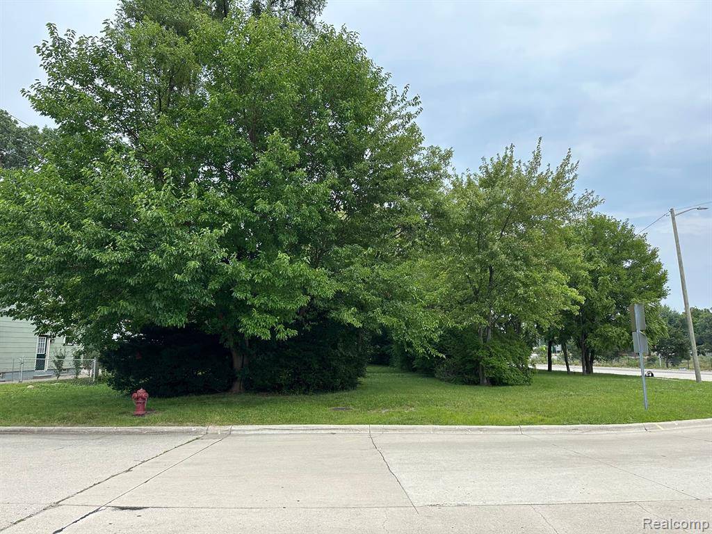 Redford, MI 48239,VL SCHOOLCRAFT & SEMINOLE