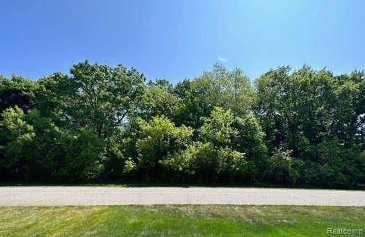 Lake Orion, MI 48348,000 Blueridge Drive