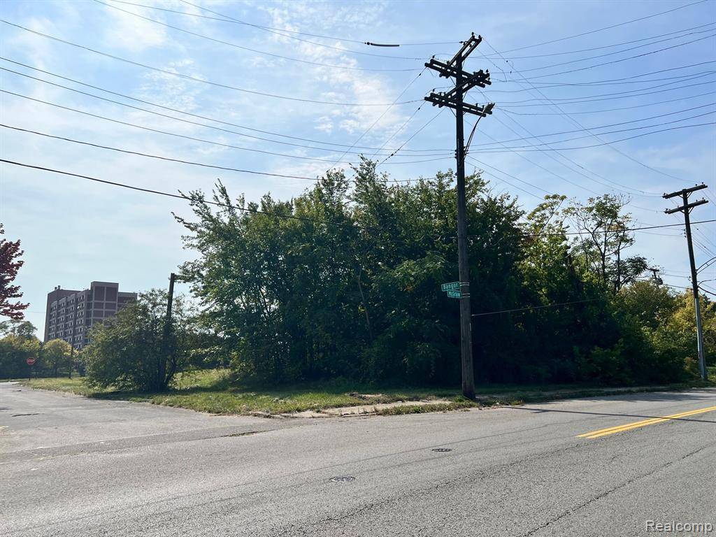Detroit, MI 48210,5387 BANGOR Street