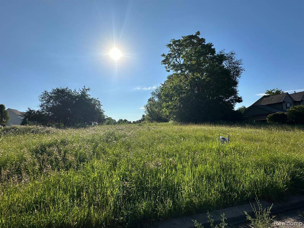 Fenton, MI 48430,20 Tipperary Trail