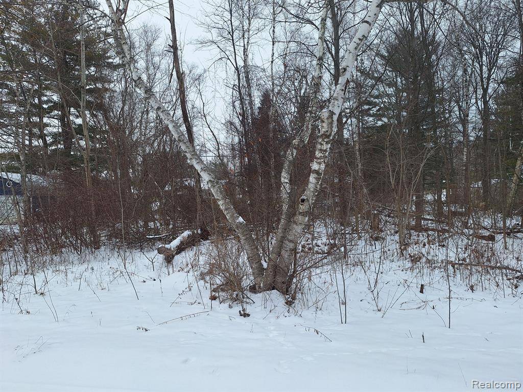 Lexington, MI 48450,000 Birchwood Road