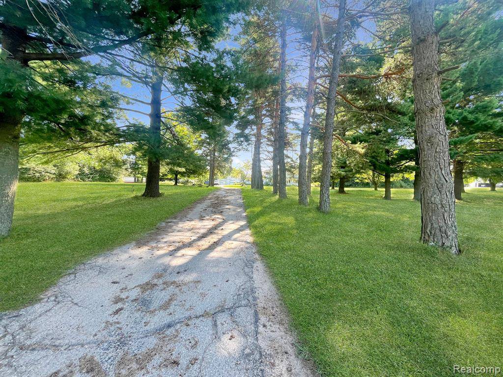 Ortonville, MI 48462,1580 HONERT Road