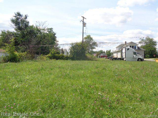 Hamtramck, MI 48212,13291 SPARLING Street