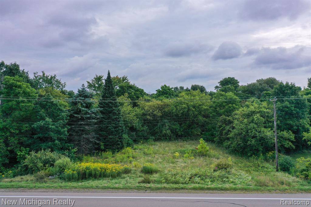 Holly, MI 48442,VL Fish Lake Road