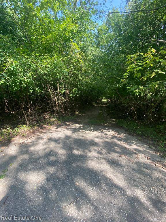 West Bloomfield, MI,0000 Blue Jay Way