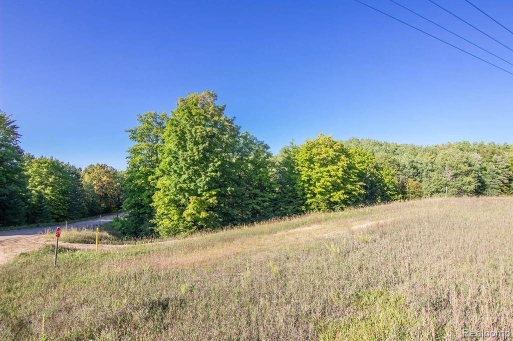 Hayes, MI 49735,00 Mancelona