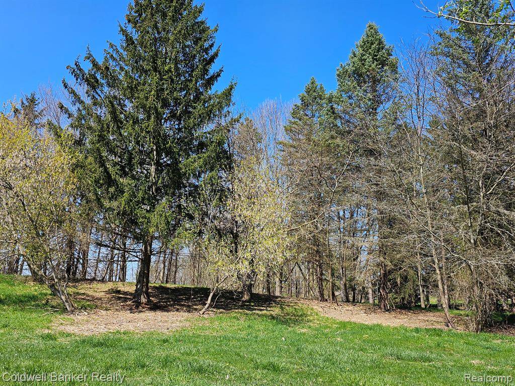 Hadley, MI 48455,00 Farmers Creek S Farmers Creek Road