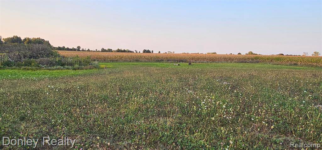 Kingston, MI 48741,7818 BRIEF Road