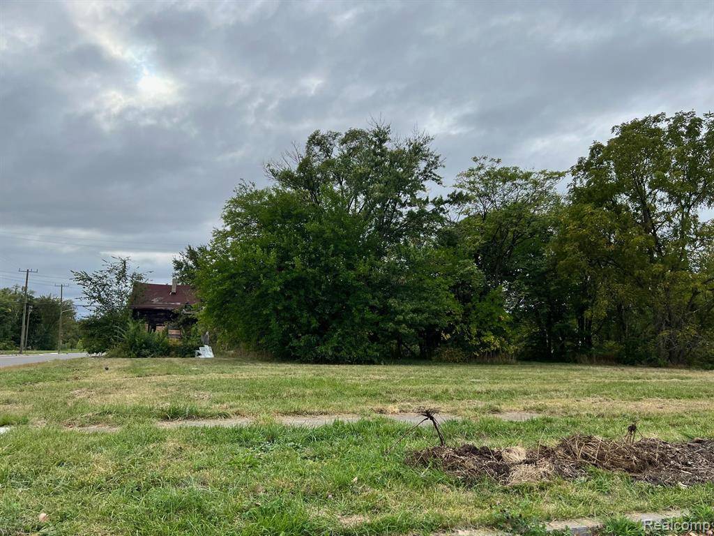 Detroit, MI 48208,2018 MCGRAW Street