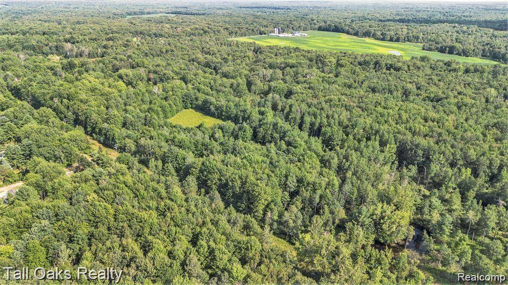 Vassar, MI 48768,000 CAINE Road