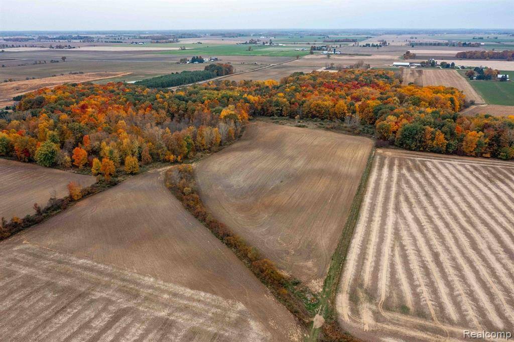 Marlette, MI 48453,0 WOOD Road