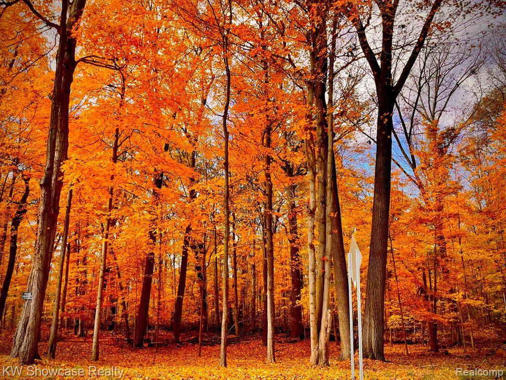 Commerce Twp, MI 48382,3-C Benstein