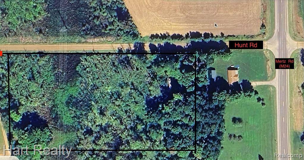 Mayville Vlg, MI 48744,0 Hunt Road