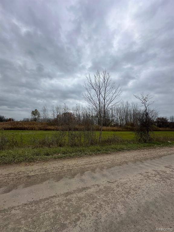 New Haven, MI 48048,57700 ROSELL Road
