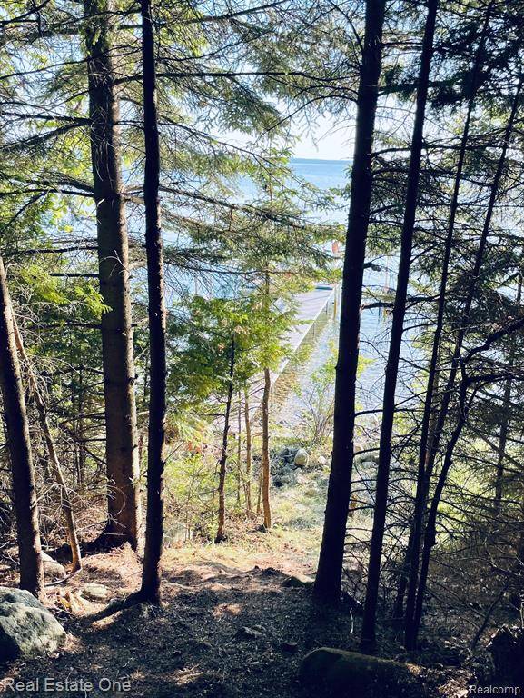 Indian River, MI 49749,2497 BOY SCOUT Road
