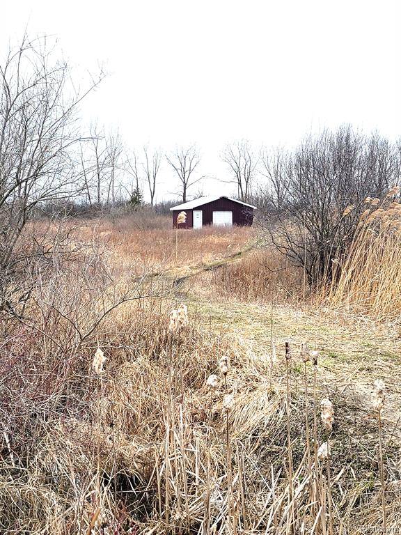 Marlette, MI 48453,2790 KOYLETTE Road