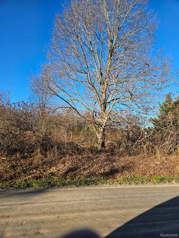 Almont, MI 48003,00 Hough