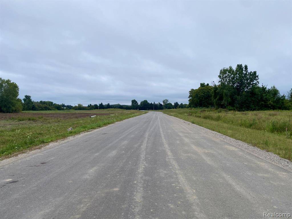 Almont, MI 48003,0010 Daisy Lane