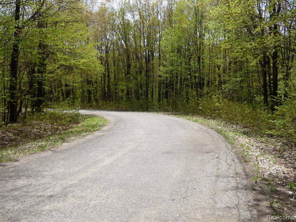 Elmira, MI 49730,00 Valleywood Circle