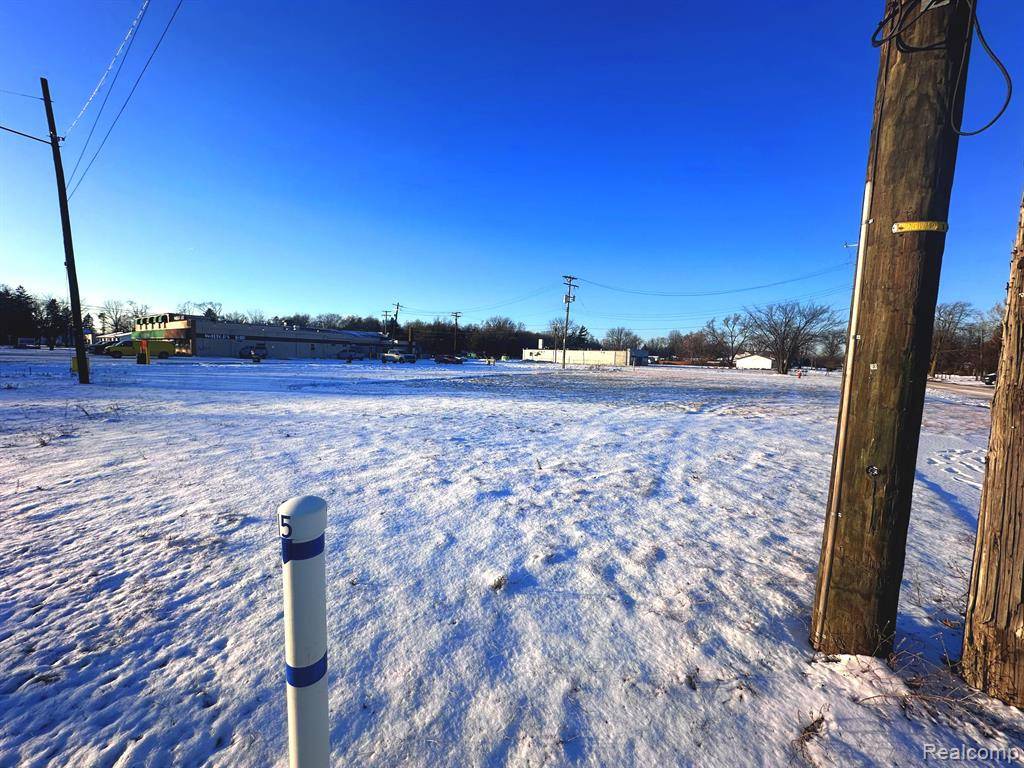 Romulus, MI 48174,11630 OZGA Street