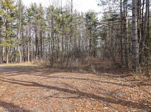 Fenton, MI 48430,11461 WHITE LAKE Road