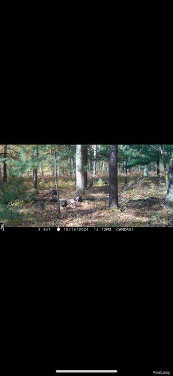 White Cloud, MI 49312,0000 N Centerline Avenue