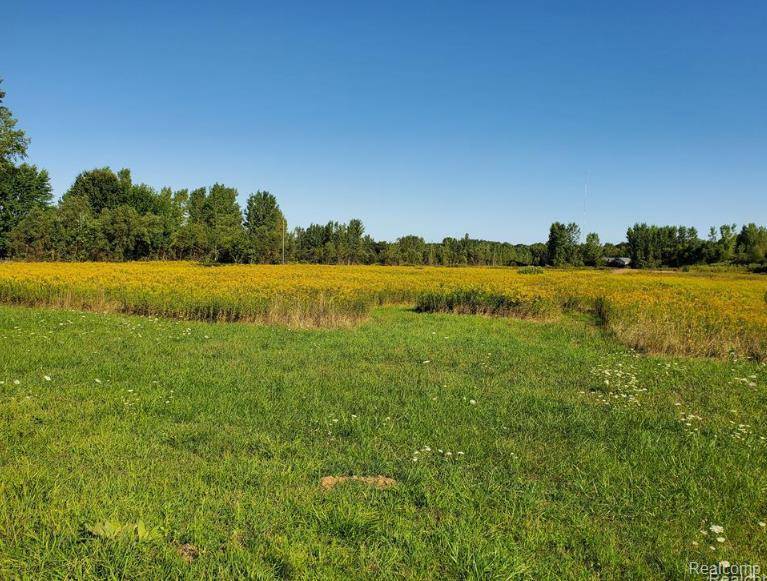 Millington, MI 48746,V/L Murphy Lake Road