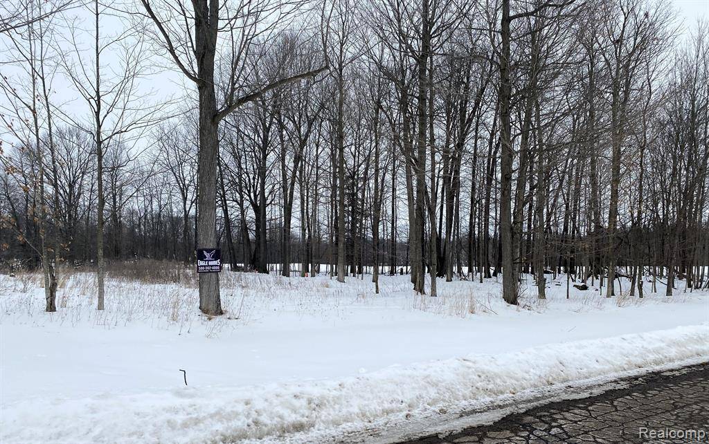 Dryden, MI 48428,4171 BELLE RIDGE Drive