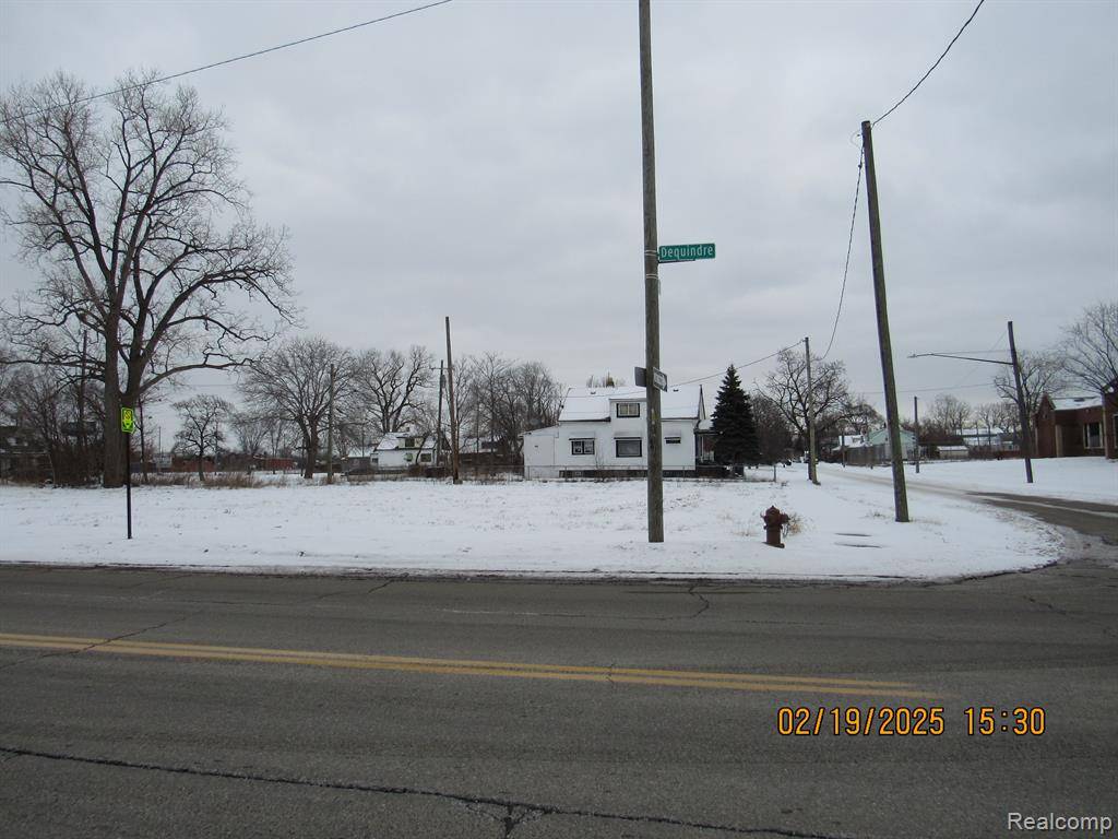 Hamtramck, MI 48212,13100 DEQUINDRE Street