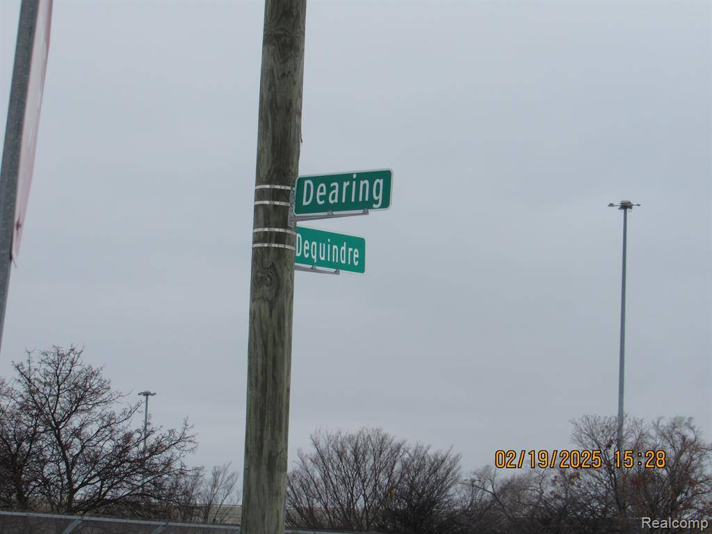 Hamtramck, MI 48212,13120 DEQUINDRE Street
