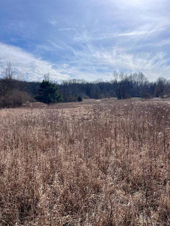 Howell, MI 48843,Parcel 2 Coon Lake Rd