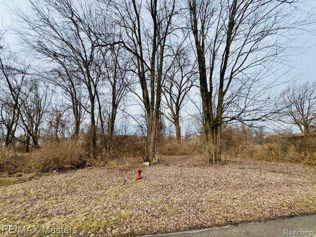 Romulus, MI 48174,0000 WAHRMAN Street
