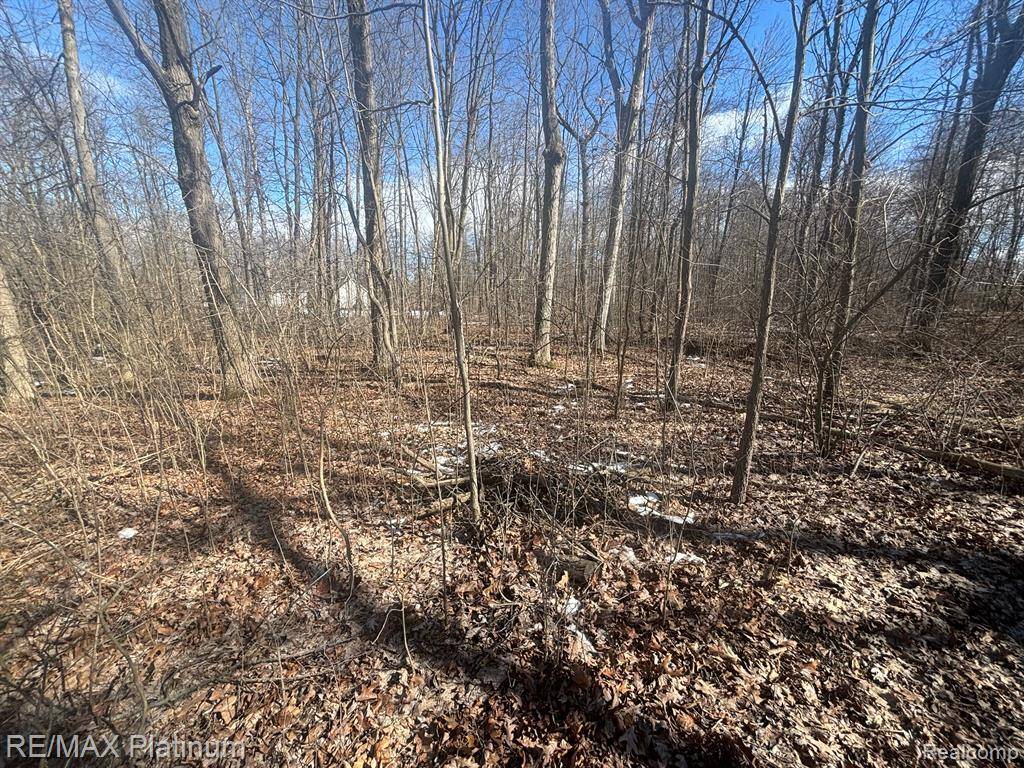 Fenton, MI 48430,V/L HARTLAND ROAD