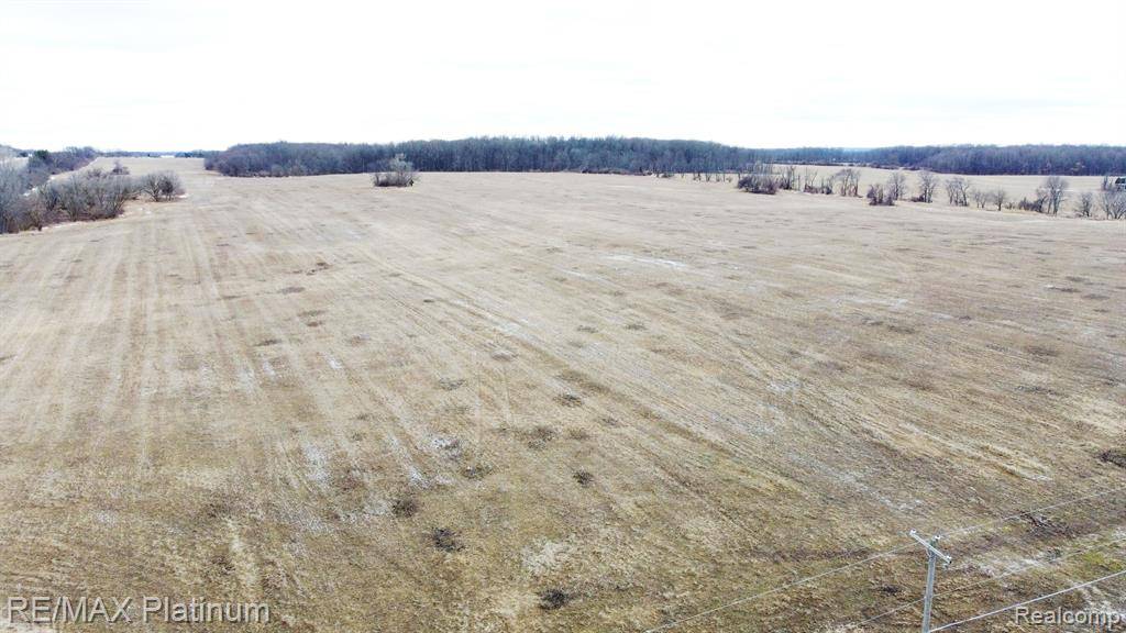 Fenton, MI 48430,V/L OLD US 23 124 ACRES