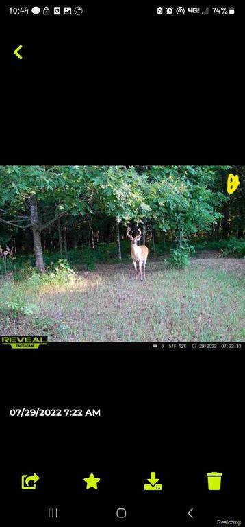 Fostoria, MI 48435,00 Squaw Creek Rd Road