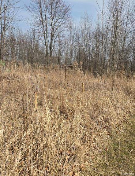 Corunna, MI 48817,3840 N DURAND Road