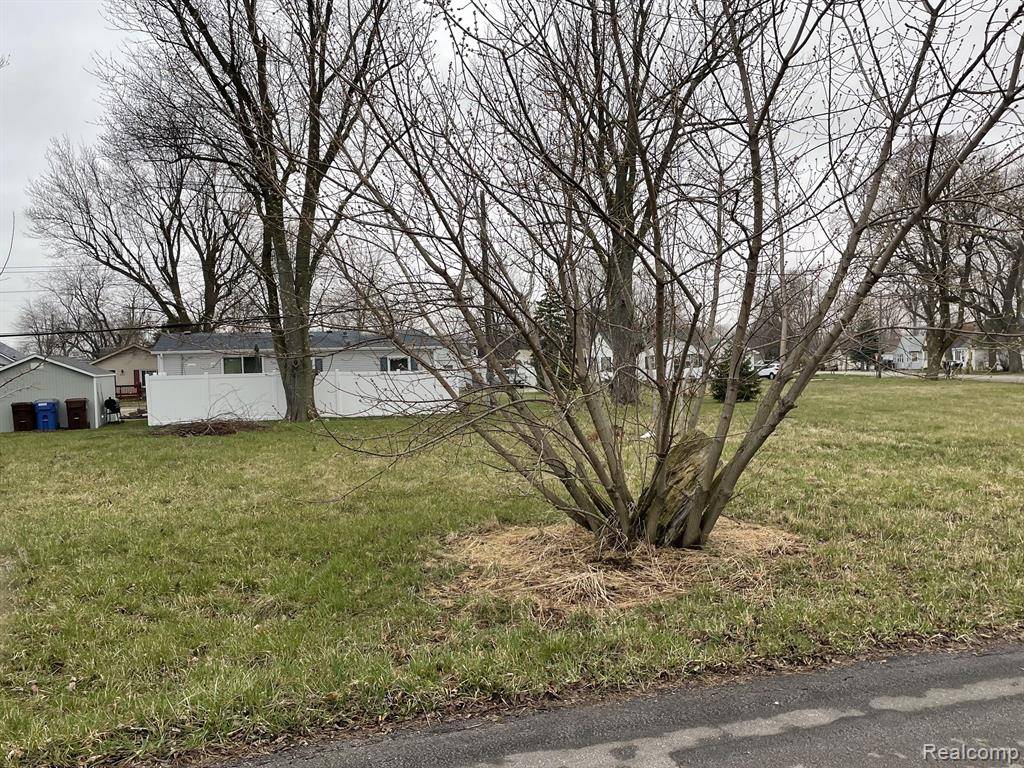 Newport, MI 48166,0000 3RD Street