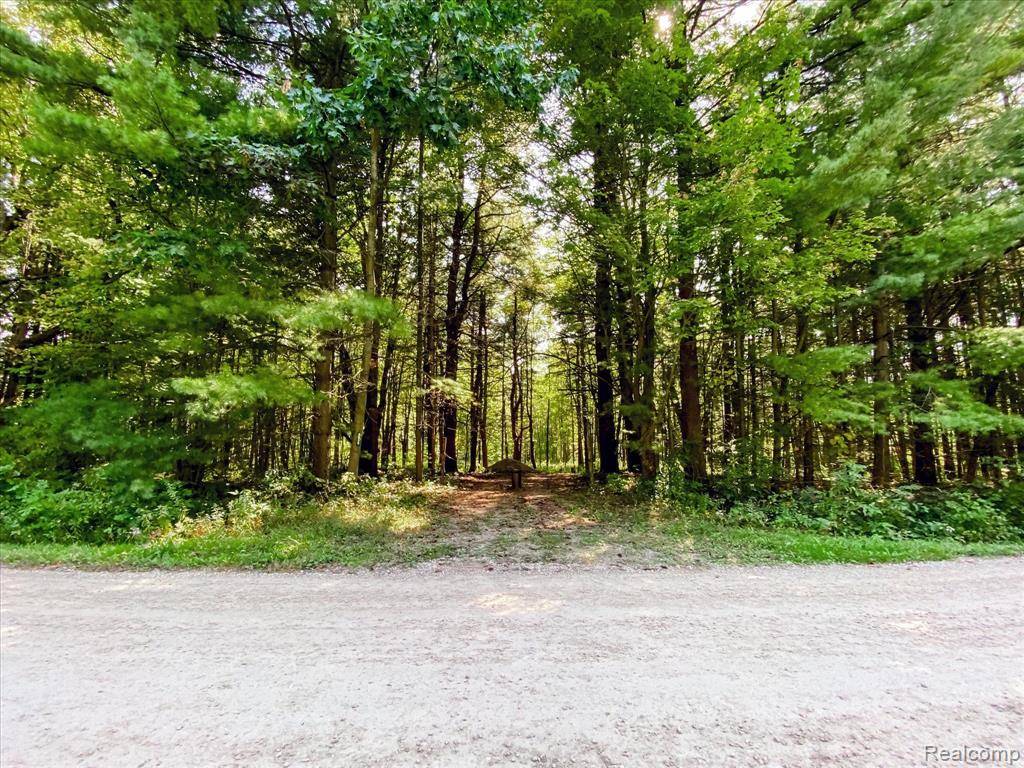 Kimball, MI,6639 DOVE Road