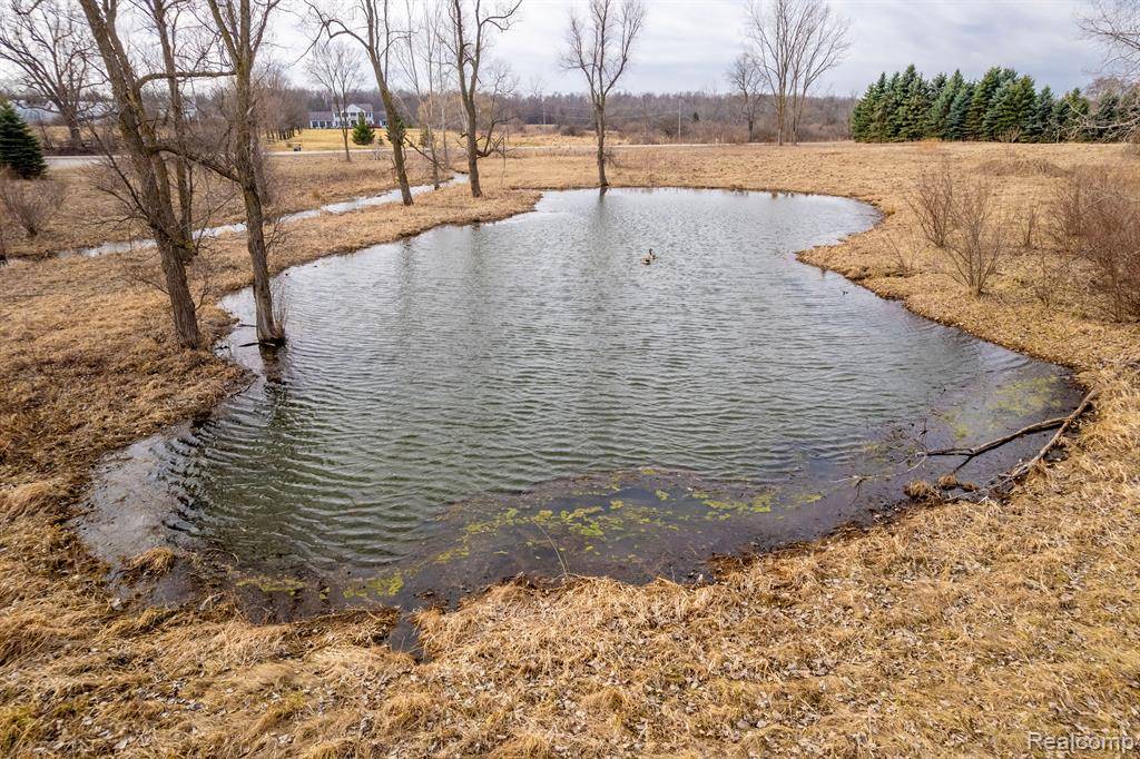 Goodrich Vlg, MI,6498 BACHMAN Lane