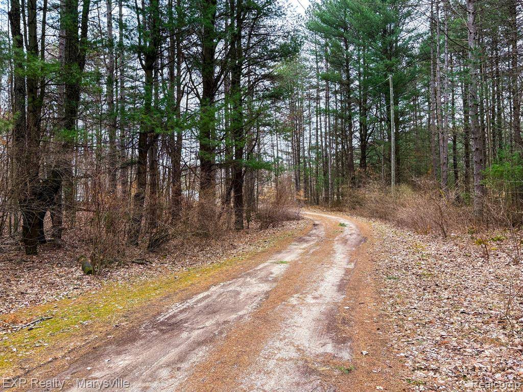 Caro, MI 48723,1204 WEEDEN Road