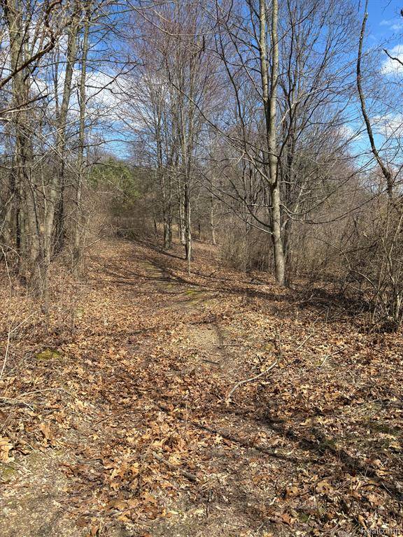 Ortonville, MI 48462,00 County Line Road