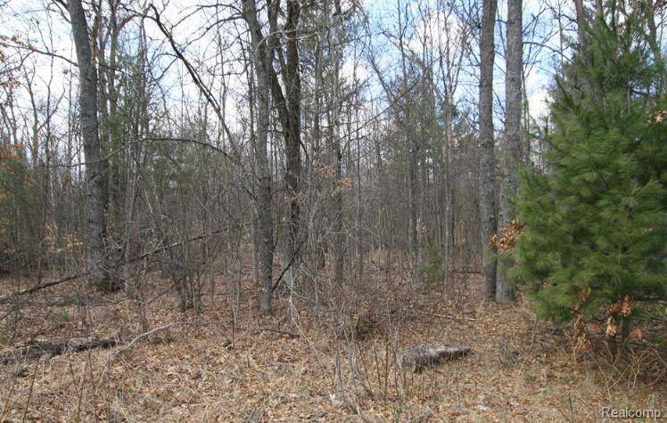 South Branch, MI 48761,V/L S BRODIE Road