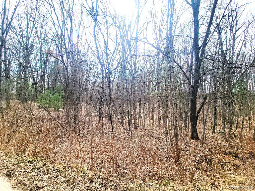 Irons, MI 49644,00000 W Estes Drive