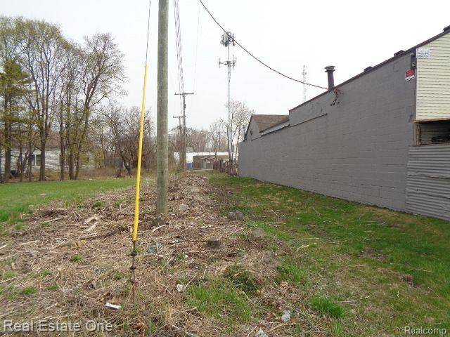 Hamtramck, MI 48212,11632 SAINT LOUIS Street
